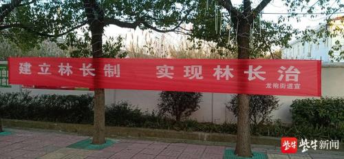 林长制什么意思