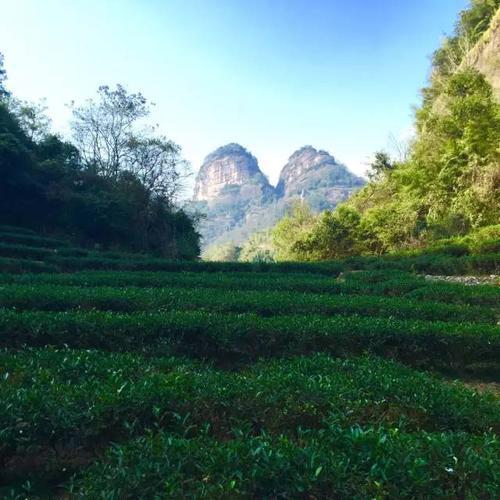 武夷山吴山地为什么叫吴山地