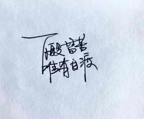 唯有自渡行心向海阔边什么意思