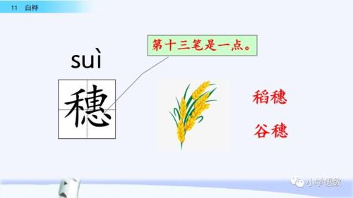 高粱的粱怎么组词