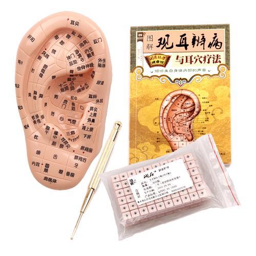 子耳是什么
