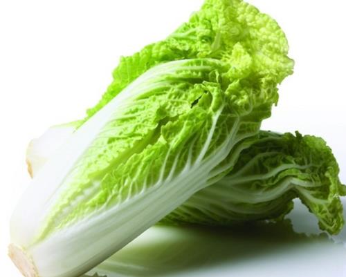 大白菜是不是热性食物
