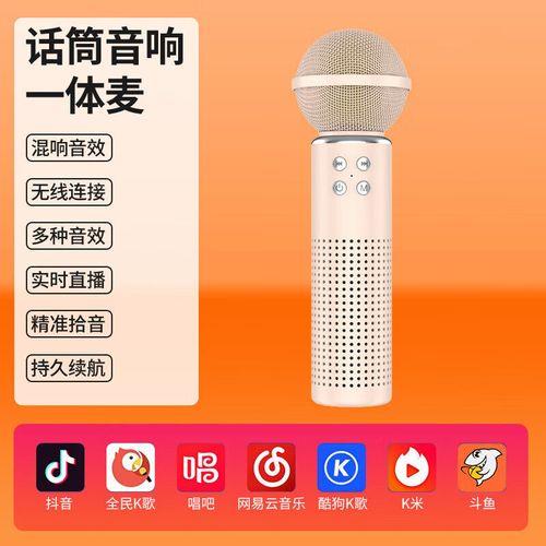 洛声e300麦克风是电容麦吗
