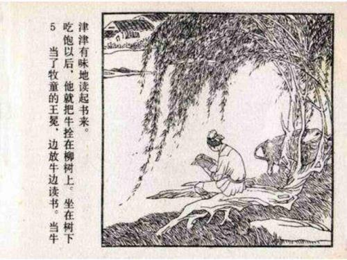 儒林外史中王冕的故事概括