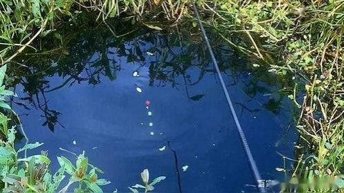 过河钓教学