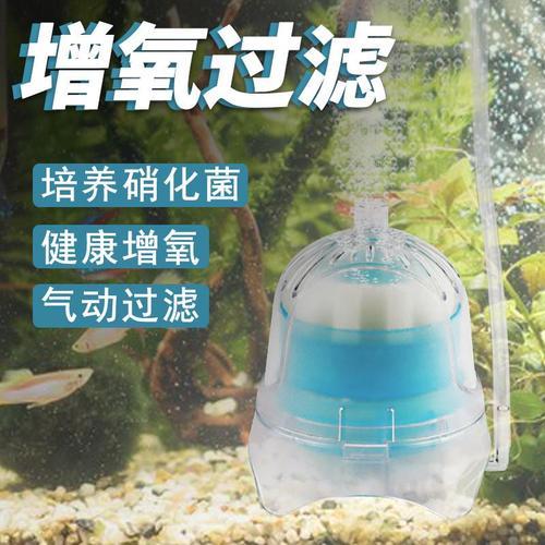 水妖精还需要氧气泵吗