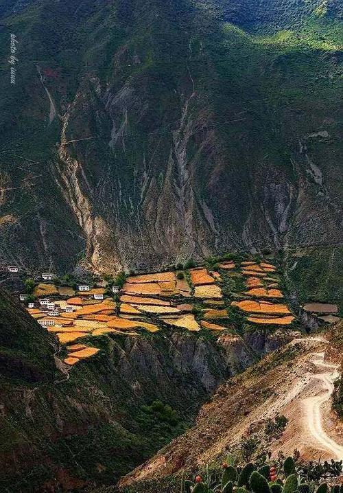 零星地是什么意思