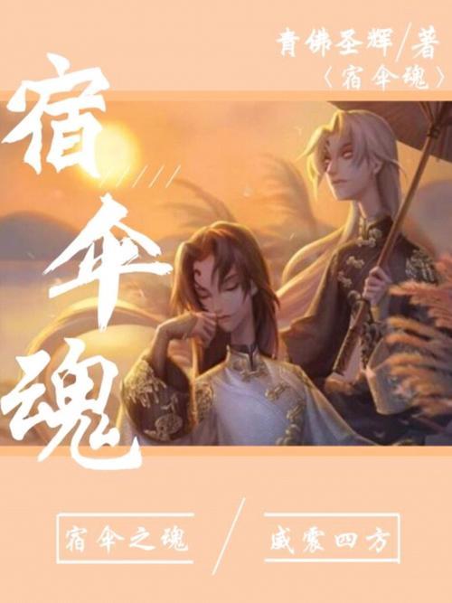 宿伞之魂阴阳司公手感怎么样
