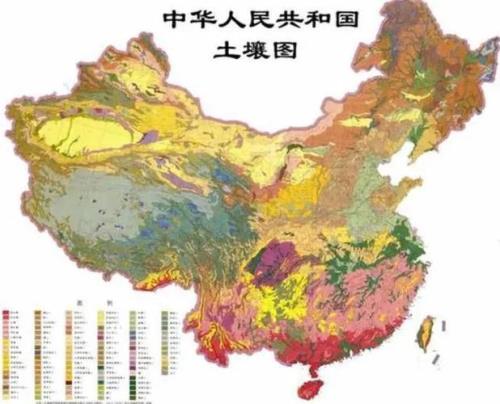 我国面积是多少