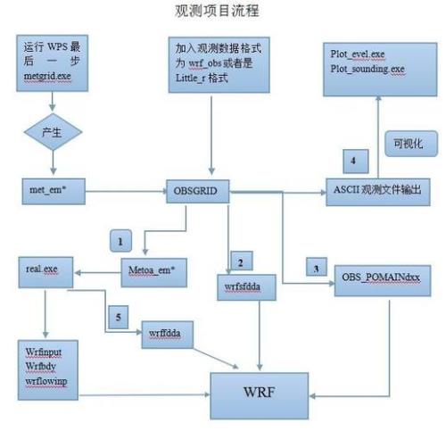 同化量指的是什么