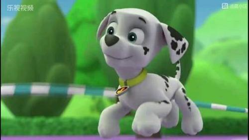 汪汪队毛毛叫法