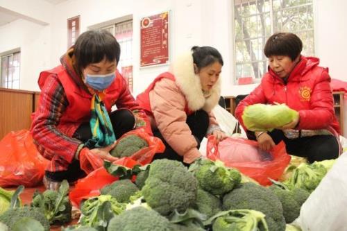 爱心蔬菜暖人心话语