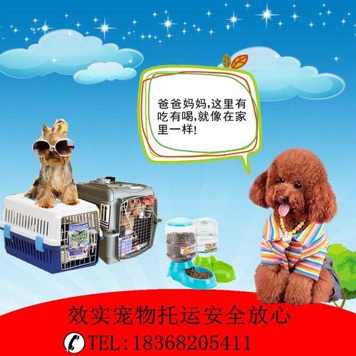 宠物托运多少钱