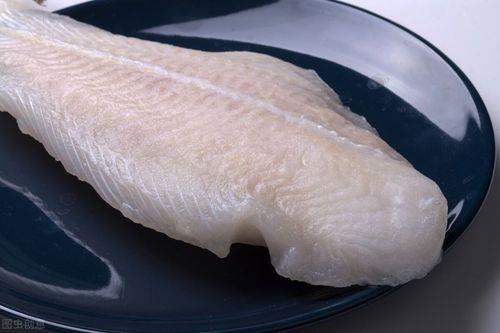 巴沙鱼是科技鱼吗