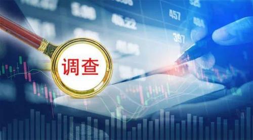 调查师是什么意思