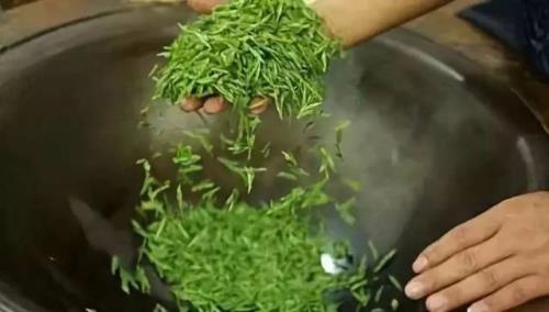 炒茶颗粒机燃烧过程中总是灭火