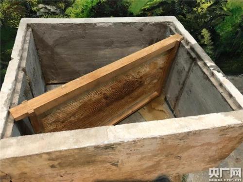 蜂箱放在高压电旁行吗