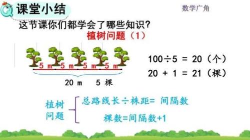五年级植树问题应用题