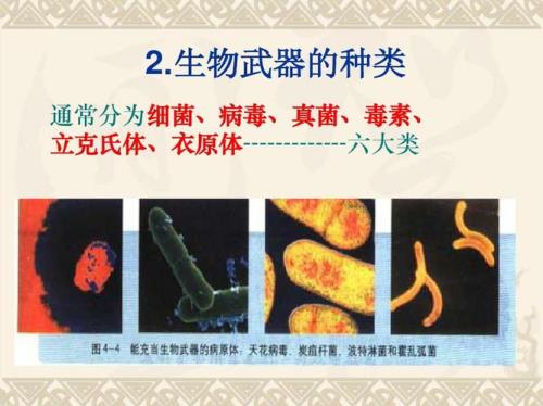 什么是细菌武器