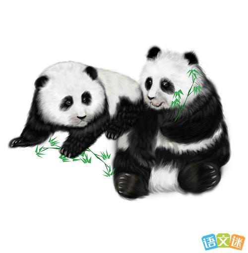 描写大熊猫可爱的句子
