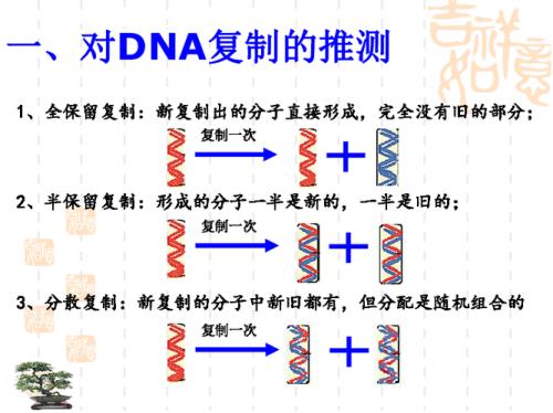 半保留复制名词解释