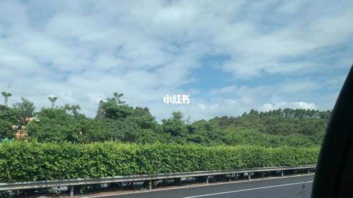 固聊是什么意思