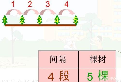 植树问题的三种情况