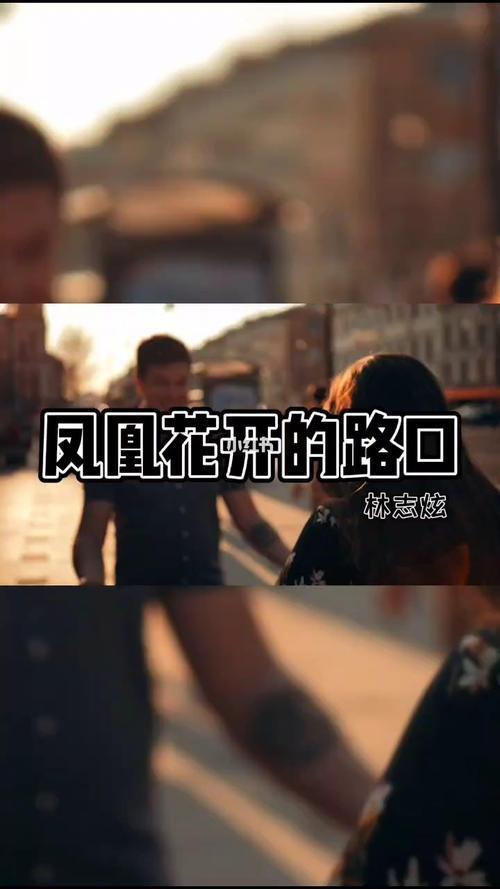 凤凰花开的路口节目串词