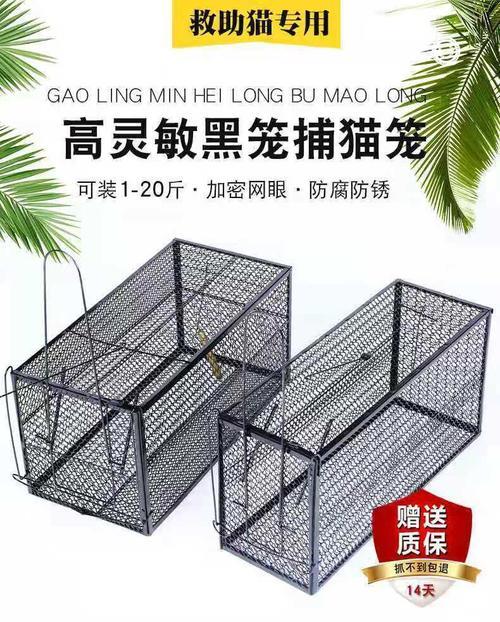 捕猫笼需要伪装吗