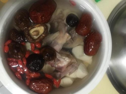 鸽子汤的做法