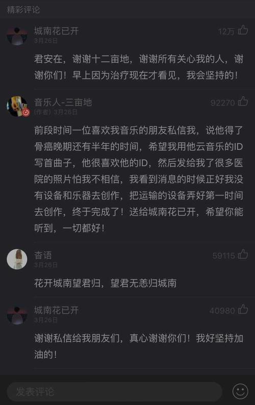 城南花已开歌词大意是什么