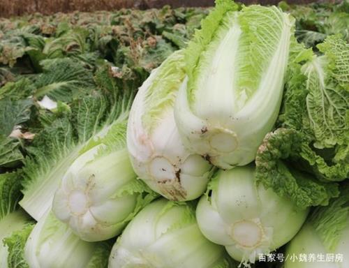 白菜帮的营养价值