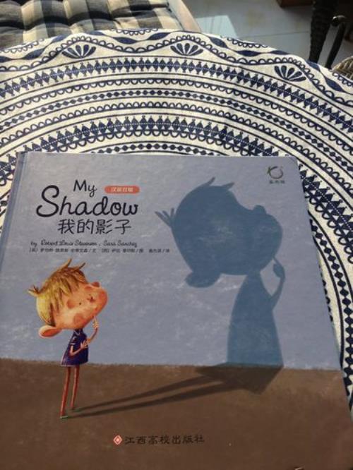 影子作家什么意思