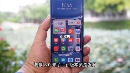 鸿蒙是什么意思啊