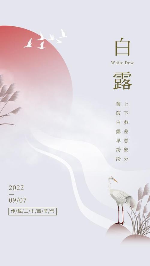 白鹭文案伤感