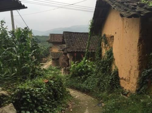 在农村小路错车怎么办