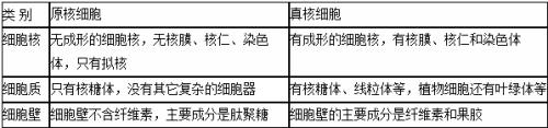 原核生物与真核生物的区别