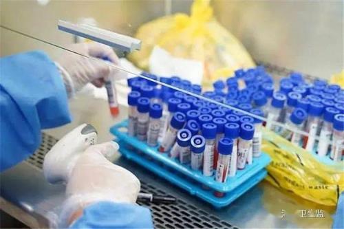 标本采集志愿者怎样录入信息