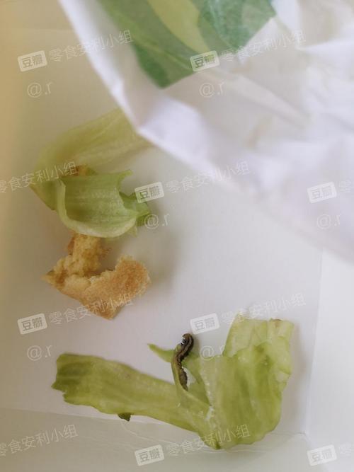 在披萨里吃出小虫子应该怎么办