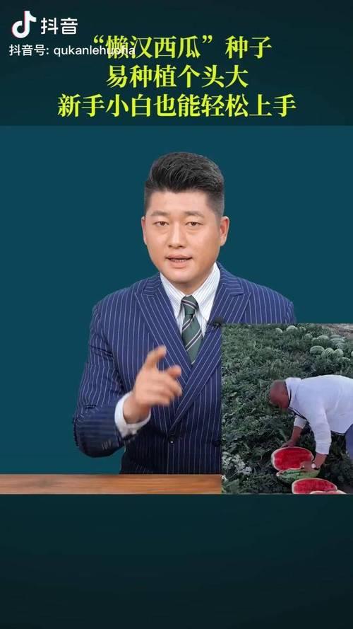 懒汉西瓜可以加木灰吗