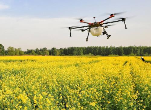 未来农村的发展前景如何