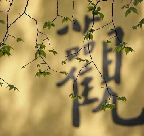 什么是嗔心