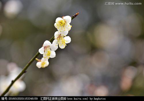 突发公共事件分为哪四类颜色