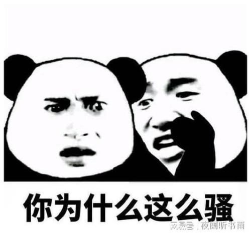 墙倒我不倒的段子