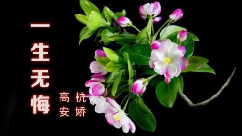 你把我放心上什么歌