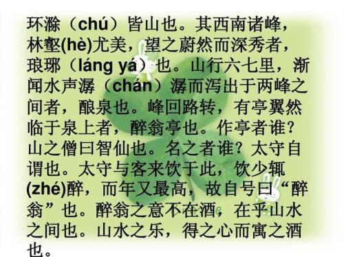 醉翁亭记译文有多少字