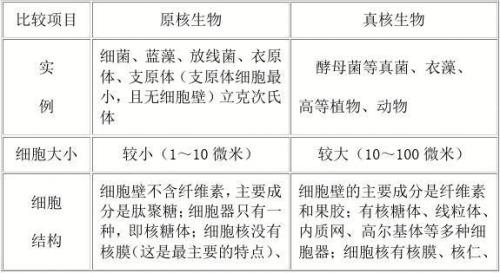 几丁质原核生物