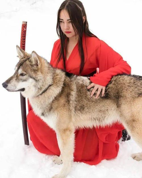 头狼极禹什么时候在一起的