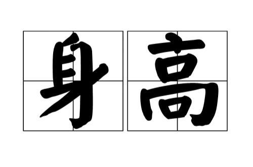 身高208cm是什么意思