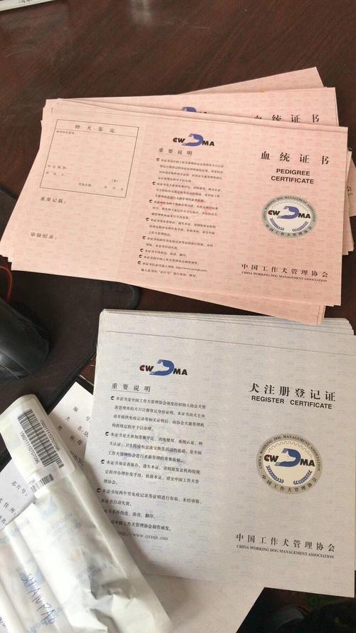 怎么在网上办血统证书